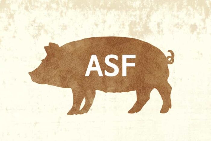 ROZPORZĄDZENIE WYKONAWCZE KOMISJI (UE) 2025/2629 z dnia 18 grudnia 2025 r. zmieniające załącznik I i II do rozporządzenia wykonawczego (UE) 2023/594 ustanawiającego szczególne środki zwalczania afrykańskiego pomoru świń.